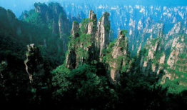 张家界吃瓜爆料事件,揭秘网络爆料的真相与争议